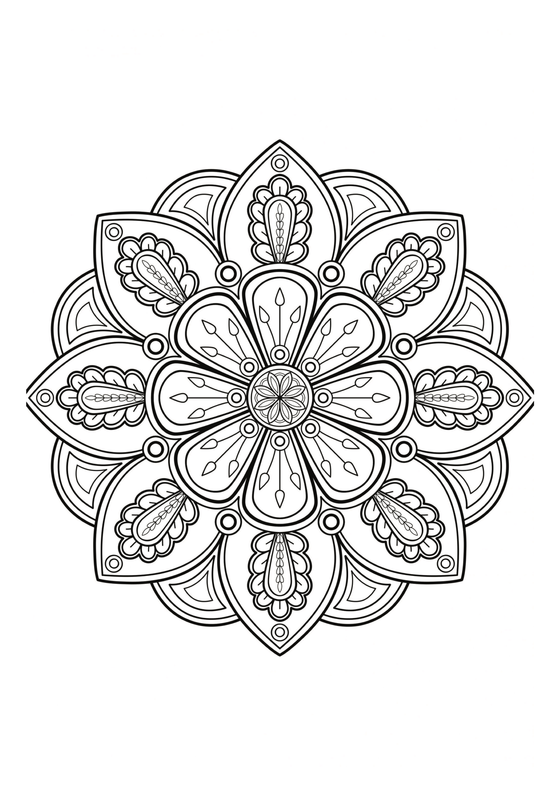 Fun & Easy Coloring Book for Children & Adult - Image 2