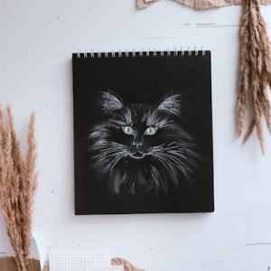 Creative Hobbies Coloring Book